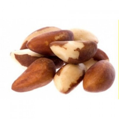 Brazilian Nut Brazilian Nut