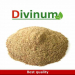 Λιναρόσπορος Κοπανιστός Divinum 500gr Λιναρόσπορος Κοπανιστός Divinum 500gr