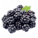 Blackberry Blackberry