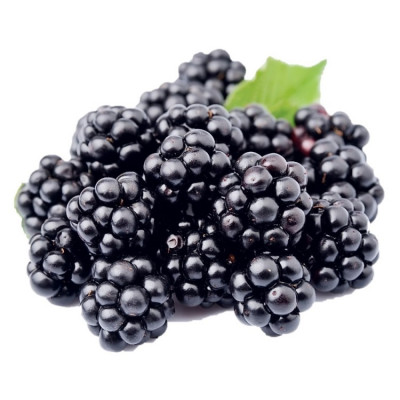 Blackberry Ολλανδίας 125gr Blackberry Ολλανδίας 125gr