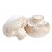 Μανιτάρια Agaricus Πολωνίας Μανιτάρια Agaricus Πολωνίας