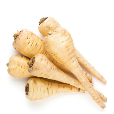 Παστινάκι Parsnip Ολλανδίας Παστινάκι Parsnip Ολλανδίας