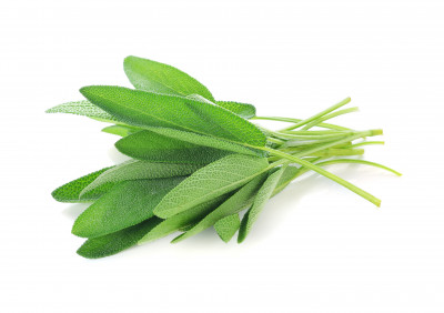 Φασκόμηλο 30gr Φασκόμηλο 30gr