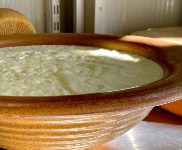 Γιαούρτι Πρόβειο Γιαούρτι Πρόβειο