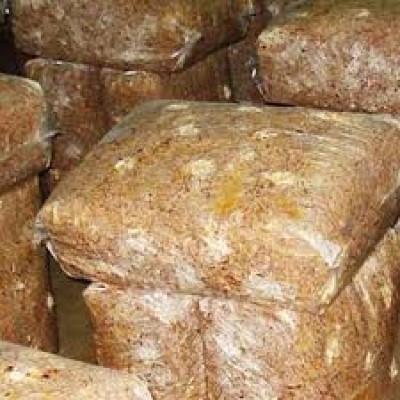 Υπόστρωμα Καλλιέργειας Φρέσκων Μανιταριών Πλευρώτους 17 Kg Culta Terra Υπόστρωμα Καλλιέργειας Φρέσκων Μανιταριών Πλευρώτους 17 Kg Culta Terra