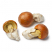 Φρέσκα μανιτάρια Amanita Caesarea (Αμανίτης ο καισαρικός) 200gr Φρέσκα μανιτάρια Amanita Caesarea (Αμανίτης ο καισαρικός) 200gr