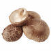 Φρέσκα Λεντινούλα (shiitake) 500gr Culta Terra Φρέσκα Λεντινούλα (shiitake) 500gr Culta Terra