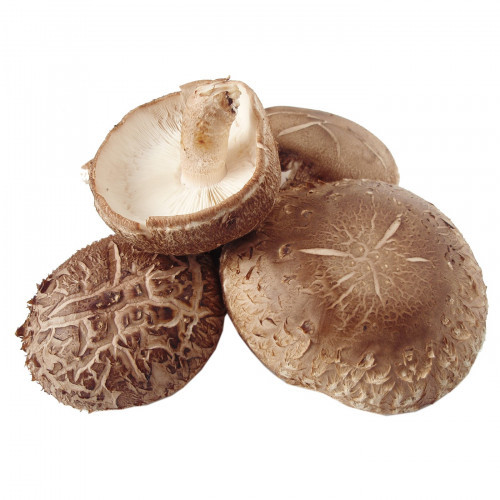 Φρέσκα Λεντινούλα (shiitake) 500gr Culta Terra Φρέσκα Λεντινούλα (shiitake) 500gr Culta Terra